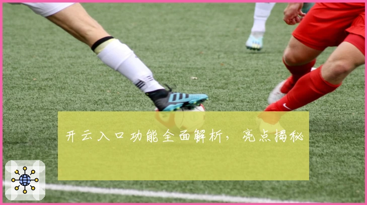 开云入口功能全面解析,亮点揭秘