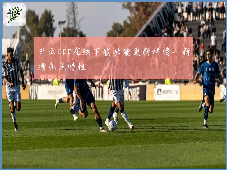 开云app在线下载功能更新详情,新增亮点特性