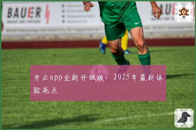 开云app全新升级版，2025年最新体验亮点