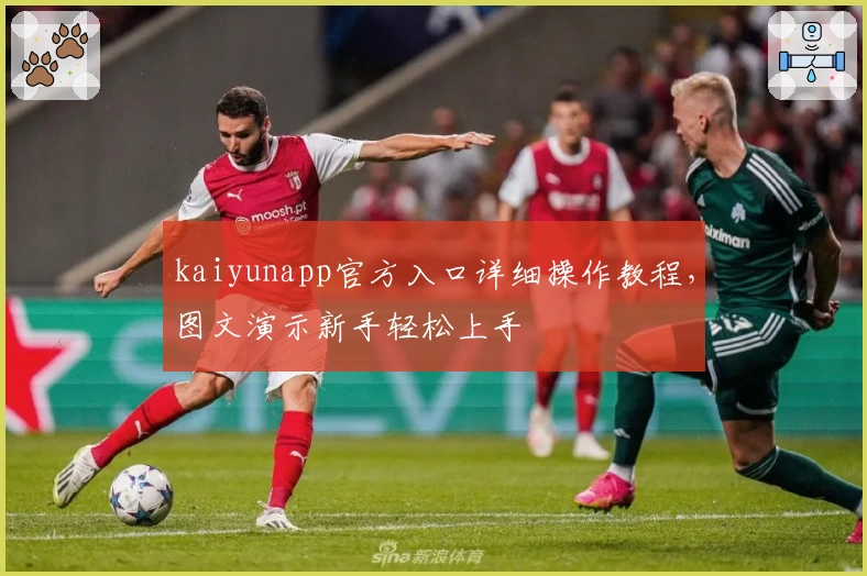 kaiyunapp官方入口详细操作教程，图文演示新手轻松上手