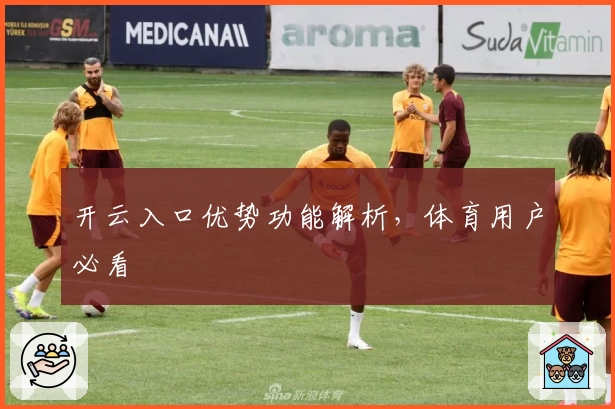开云入口优势功能解析，体育用户必看